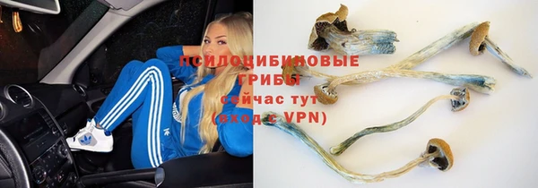тгк Алзамай