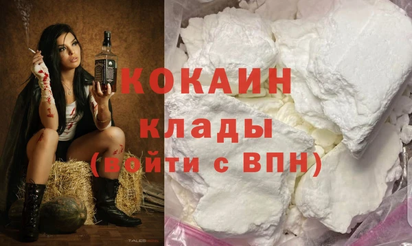 тгк Алзамай