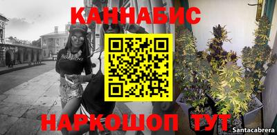 сатива Сланцы