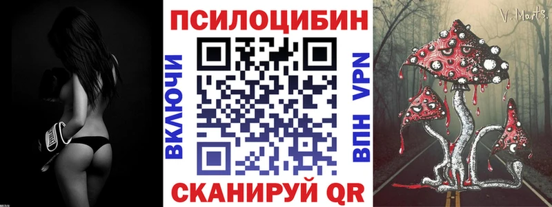 Псилоцибиновые грибы Psilocybine cubensis  Павлово 