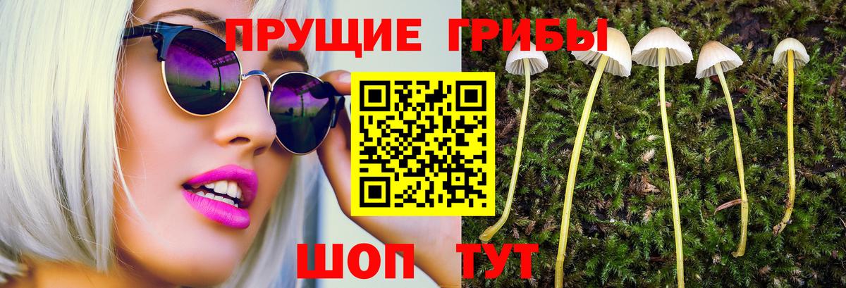 Галлюциногенные грибы Psilocybe  сколько стоит  Галлюциногенные грибы мухоморы  Павлово  Вход с VPN 