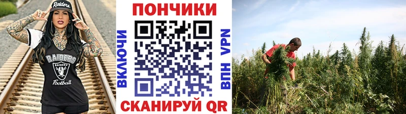Бошки Шишки MAZAR  Павлово 